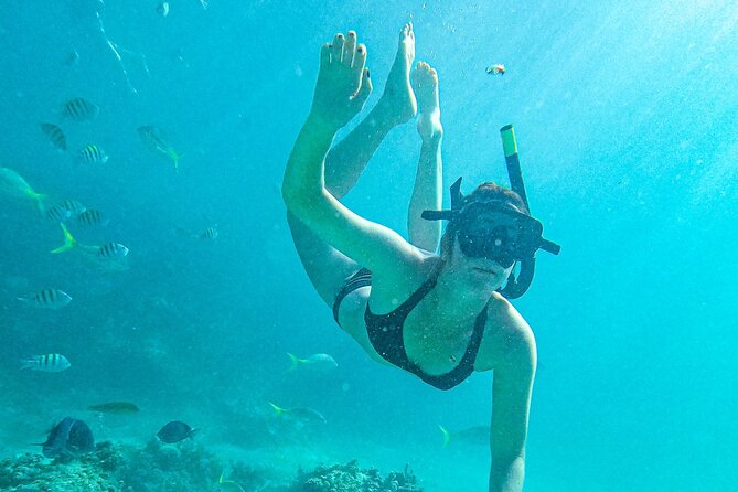 Cap Cana Snorkeling and Sailing Tour With Seafood Lunch  - Punta Cana - Inclusions and Amenities