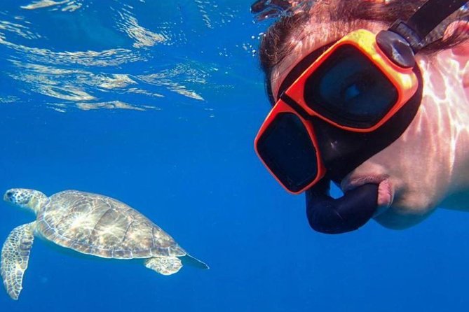 CAPTAIN ALANS 4hr -3 Islands-snorkeling-turtles-beach ADVENTURE - Traveler Photos and Reviews