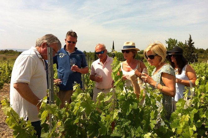 Carcassonne Private Half-Day Winery Visits and Tasting - Inclusions and Amenities