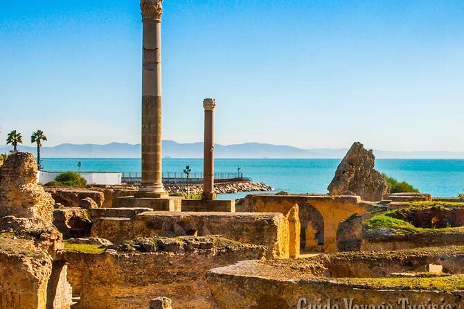 Carthage, Sidi Bou Said, and The Medina - Taking in the Vibrant Atmosphere of the Medina
