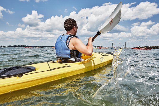 Casco Bay Half-Day Sea Kayak Tour - What To Expect