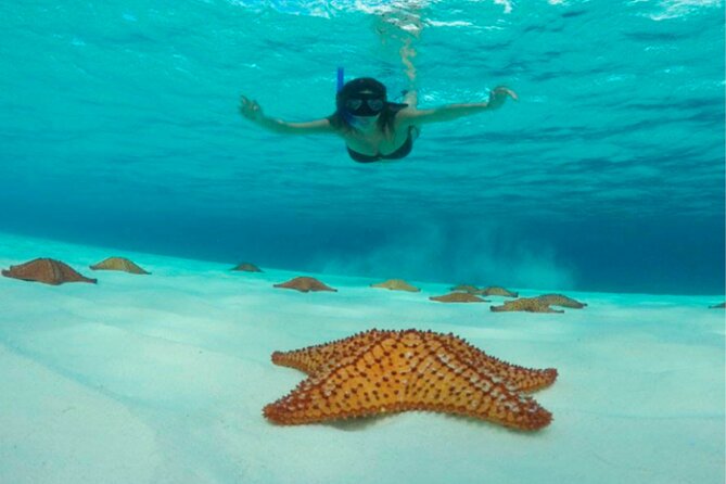 Catamaran Snorkel to El Cielo and Tortugas Beach Club - Overview and Itinerary