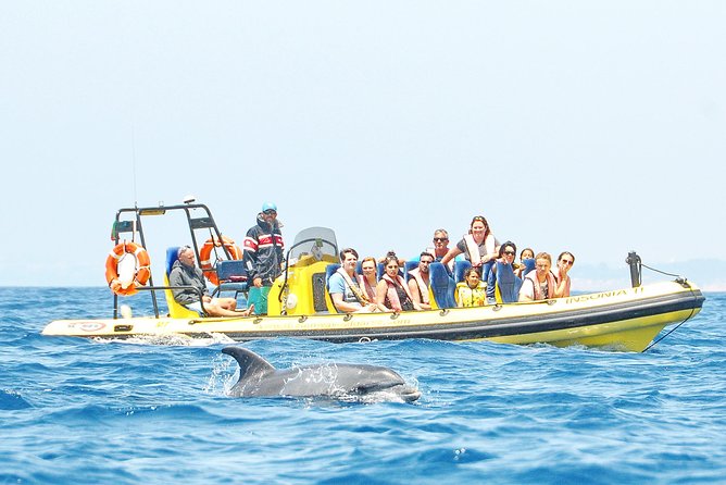 Caves and Dolphin Watching Cruise From Albufeira - Customer Experiences