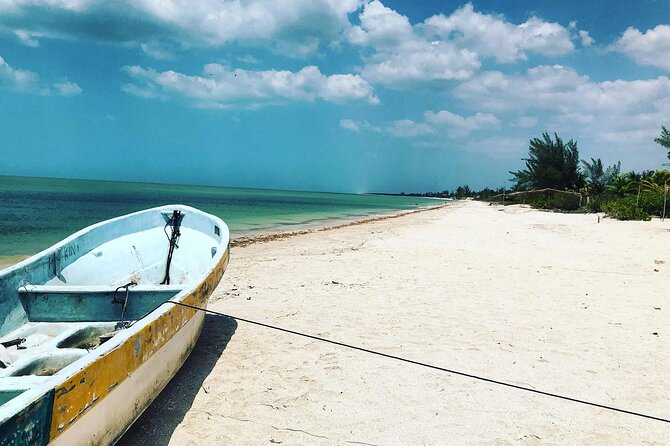 Celestun Beach and Mangrove Boat Ride From Merida - Tour Highlights and Reviews