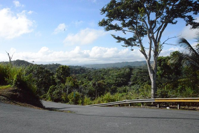 Center of Puerto Rico Day Tour. a True Cultural Experience - Reviews and Ratings