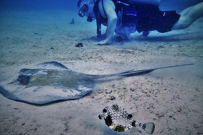 Certified Guided Reef Dive in St Thomas - Overview and What To Expect