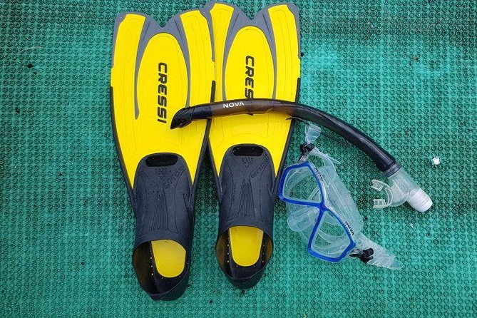 Cham Islands Snorkeling Tour by Speedboat From Da Nang - Price and Booking