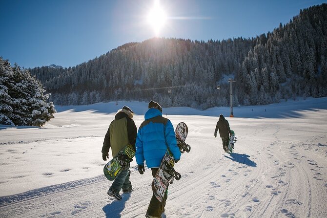 Chamonix Return Trip to Geneva Airport - Trip Details