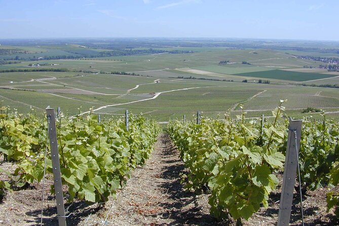 Champagne Lover Tour With Private Driver - 100% Grand Cru Chardonnay - Meeting and Pickup Information