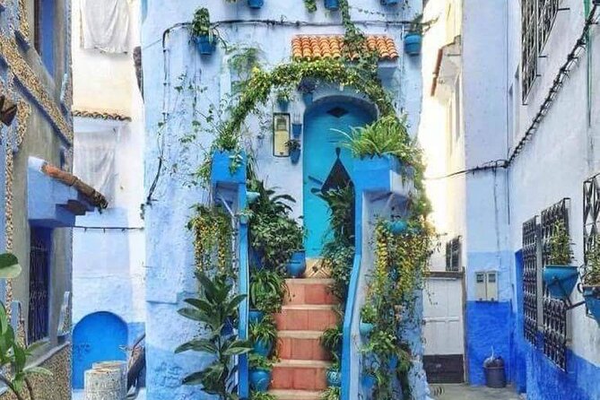 Chefchaouen Private Day Trip From Fes - Itinerary and Activities