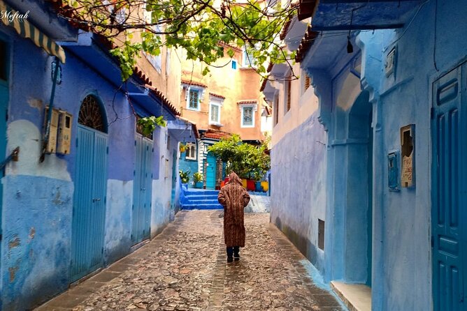 Chefchaouen Private Full Day Excursion & Panoramic of Tangier - Reviews