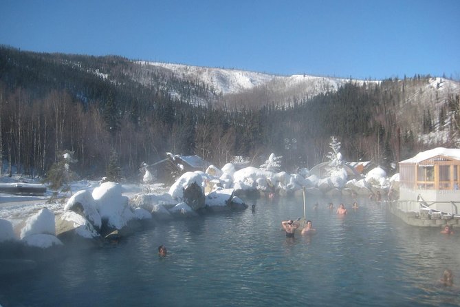 Chena Hot Springs Tour - Tour Details and Inclusions