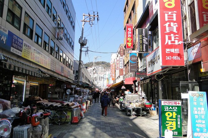 Cherry Blossom Tour in Busan and Jinhae From Busan - Itinerary Overview