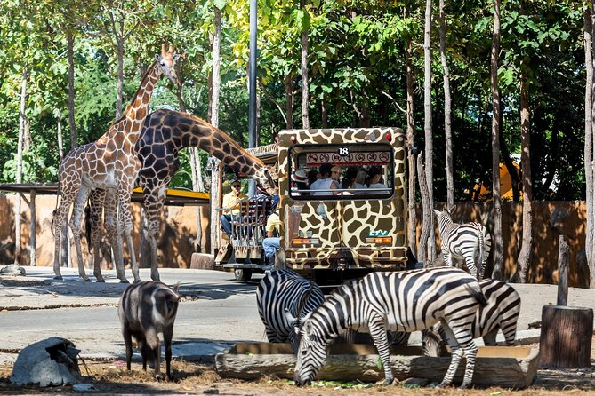 Chiang Mai Night Safari Ticket - Cancellation Policy