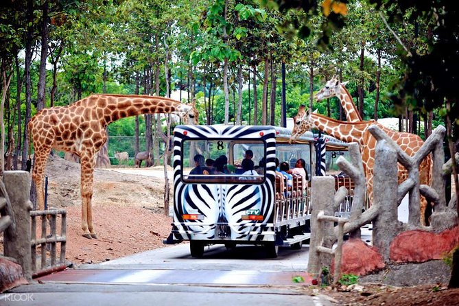 Chiang Mai Night Safari Tour Including Transfer (Minimum 2 Pax) - Overview and Features