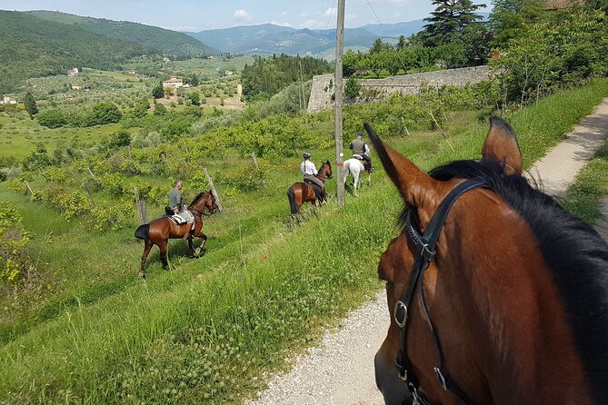 Chianti Region Horse Riding and Tuscan Lunch From Florence - Horse Riding Experience