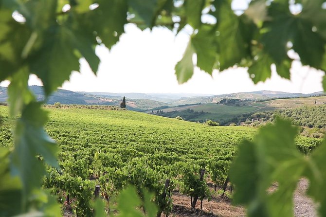 Chianti Wine Tour From Florence - Tour Details and Logistics