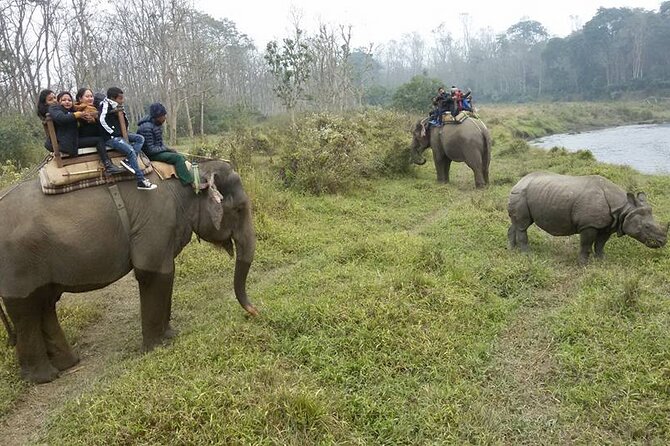 Chitwan Jungle Safari Tour – 2 Night /3 Days With Private Transportation - Itinerary and Expectations