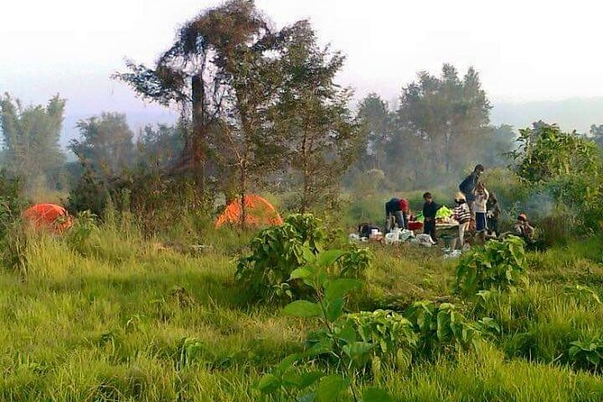 Chitwan National Park Unique Activities From Untouched Side Madi - Off the Beaten Path: Discovering Madis Hidden Treasures
