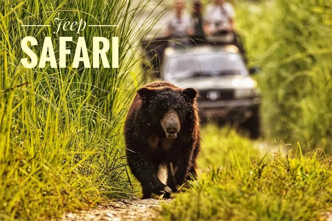 Chitwan Tour Packages - Visual Content