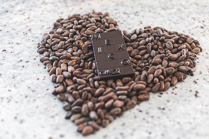 Chocolate and Truffles Workshop - Overview and Highlights