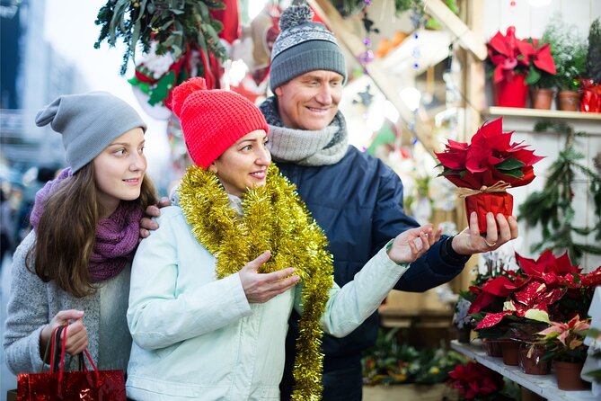 Christmas Charms of Roskilde - Private Walking Tour - Christmas Market Delights