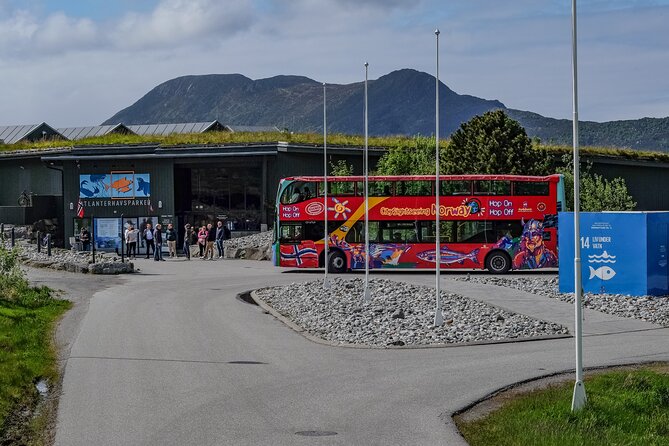 City Sightseeing Alesund Hop-On Hop-Off Bus Tour - Tour Highlights