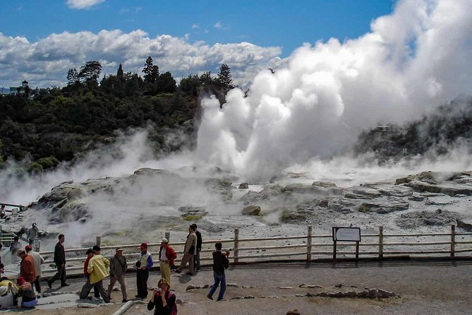 City to City Transfers (Auckland - Rotorua) - Pricing and Guarantee