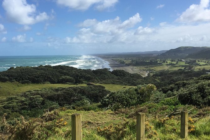 City to Surf" - Private Tour Mit Deutschem Reiseleiter - Customer Reviews