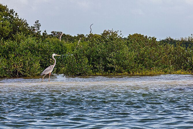 Classic 3-Island Tour on a Shared Boat - Tour Overview and Itinerary