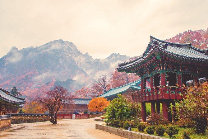 Classic Naejangsan National Park One Day Tour (Autumn Limited） - Itinerary for the One Day Tour