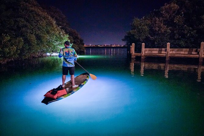 Clear Kayak LED Night Glass Bottom Tour - Sarasota - Meeting and Pickup Information