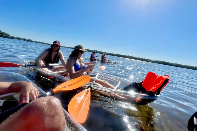 Clear Kayak Private Guided Day and Night Tours in Florida - Overview of the Tour