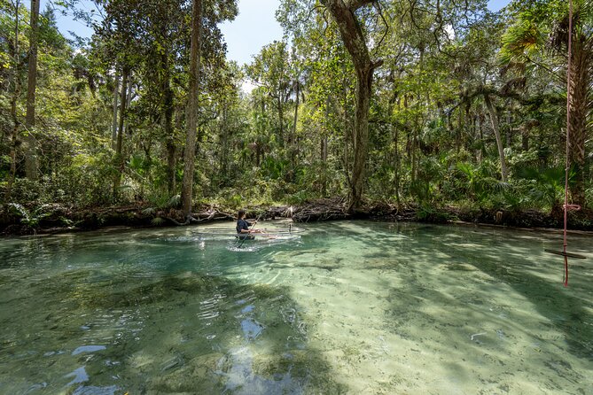 Clear Kayak Tours on Chassahowitzka River - Traveler Photos and Reviews