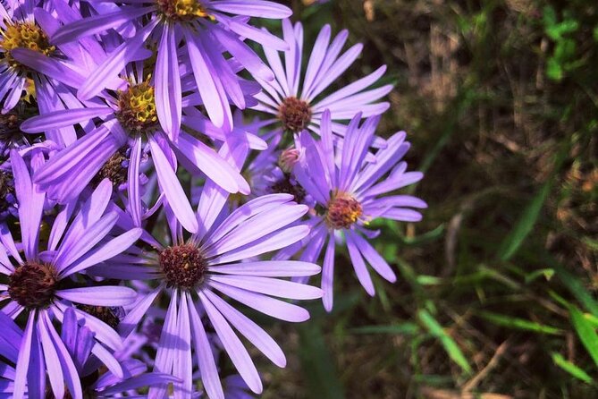 Coal Mine Hike and Beer - Trail Highlights