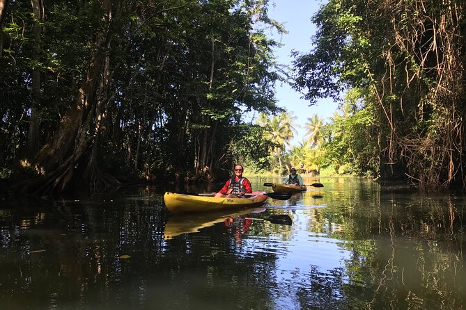 Coastal and River Kayaking Adventure at Marigot Bay - Meeting and Pickup Information