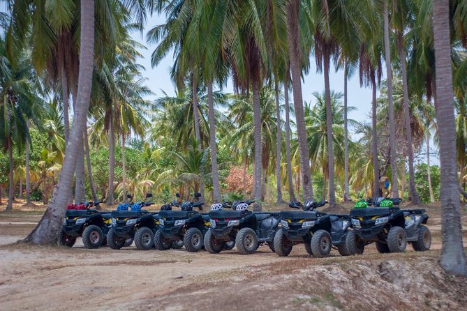 Coco Beach Park Full Day Trip With European Buffet - Activities at Coco Beach Park