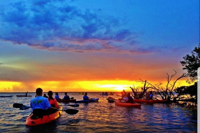 Cocoa Beach Night Time Bioluminescence Kayak Tour - Overview and Experience