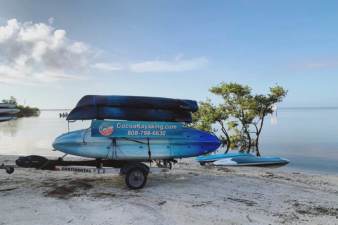 Cocoa Beach Sunset Kayak or Stand-Up Paddleboard Tour - Tour Overview and Experience