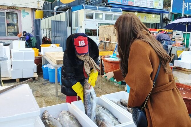 Cod Auction and Clam Auction in Winter - Overview and Logistics