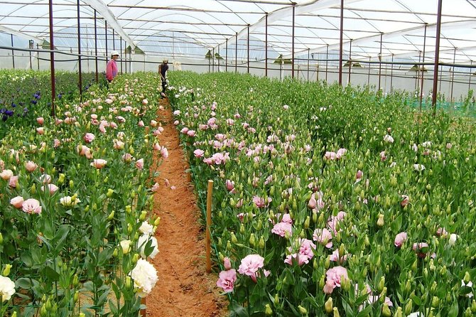 Coffee Class and DaLat Outskirt Tour - Itinerary
