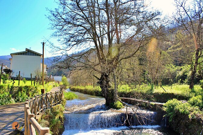 Coimbra Private Full-Day Mountain Villages and Waterfalls Tour - Included Services