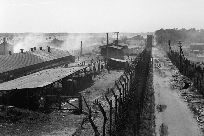 Cologne: Bergen-Belsen Concentration Camp Private 1-Day Tour - Overview of Bergen-Belsen