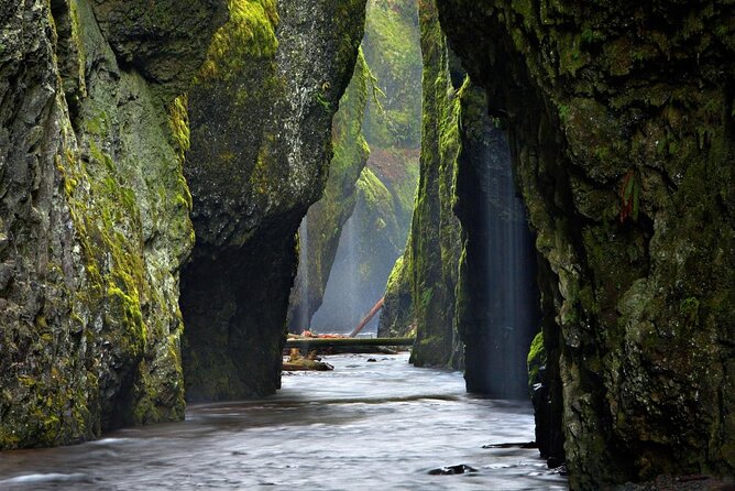 Columbia Gorge Waterfalls and Mt. Hood Tour - Full Day - Tour Details and Logistics