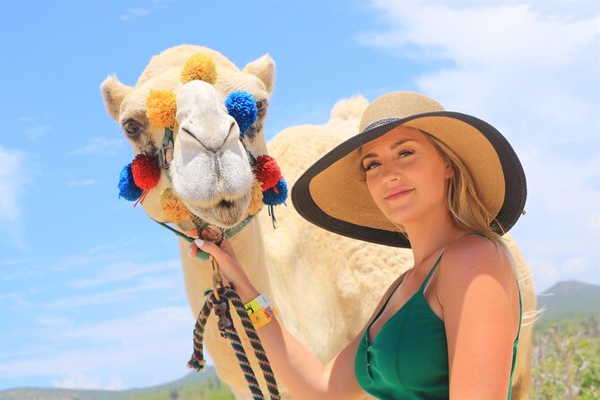 Combo Camel Ride and Extreme Side by Side in Cabo - Inclusions