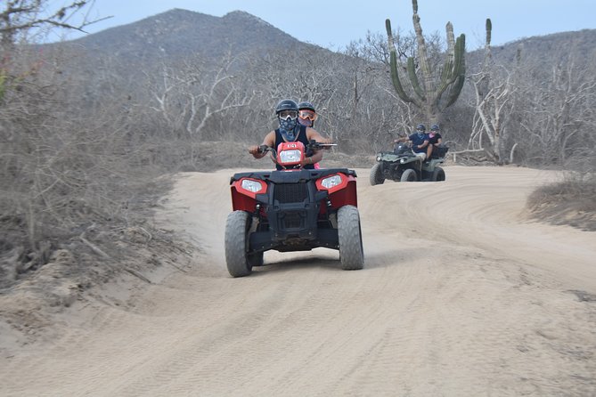 Combo Double Atv Horses - Tour Overview