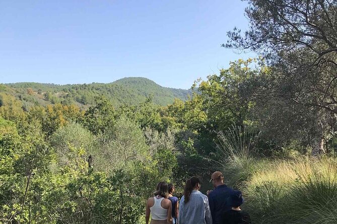 Cooking Class in the Countryside With Simona - Booking Confirmation and Additional Information