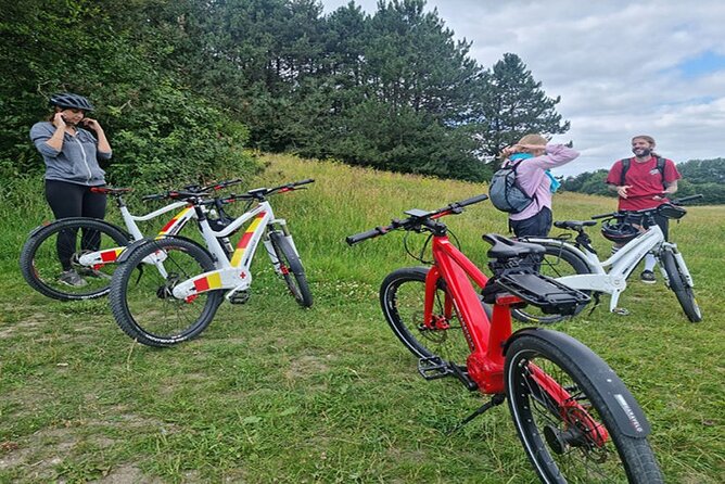 Copenhagen Private E-Bike Sculpture Hunt - Adventure in Copenhagens Green Spaces
