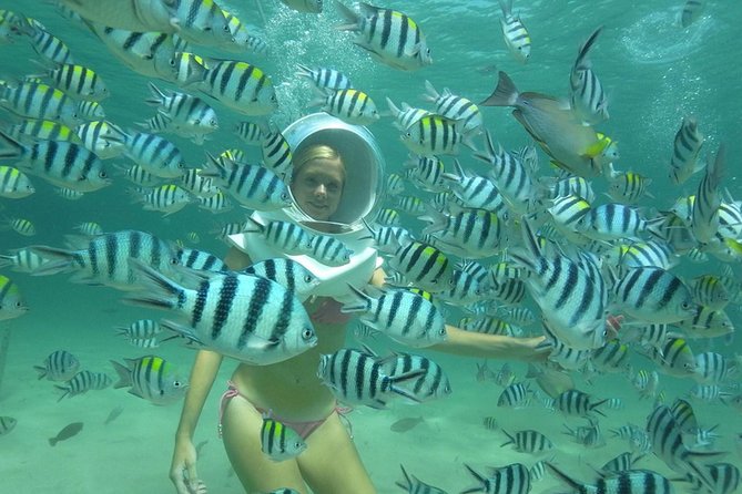 Coral Island Half-Day Tour From Pattaya With Lunch - Pricing and Value
