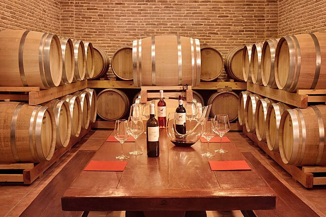 Corinth Winery Tour and Organic Fine Wine Tastings - Tour Highlights